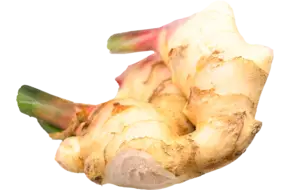 Gember vers verpakt 1kg